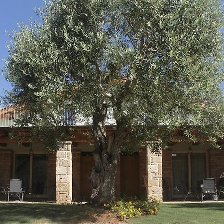 Casal Lluent Bed and Breakfast Αλγκέρο Εξωτερικό φωτογραφία